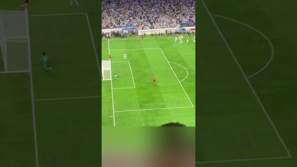 Goal Nicolas Otamendi. Last penalty. Argentina vs Ecuador. Copa America 2024