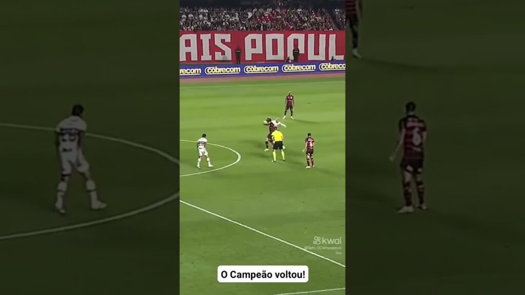 ALAN FRANCO É RAÇA PURA.              #aovivo #brasileiraoserieaaovivocomimagens #sãopaulo