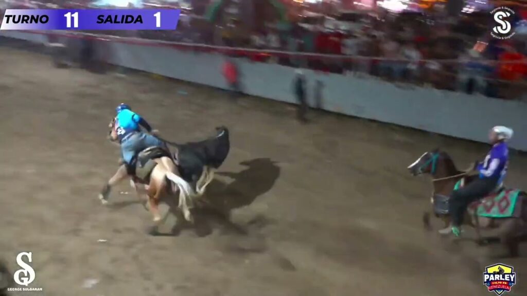 Turno 11 Salida 1 Jose Herrera, Lucas Velazaquez Mano a Mano de coleo Valley Del Tuy 10 08