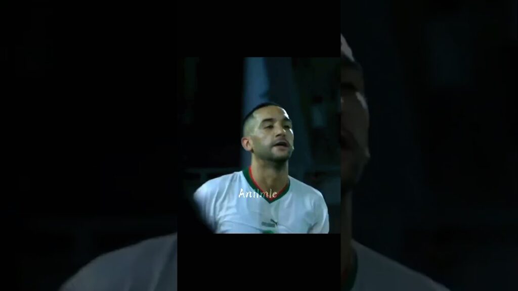 We stand with our coach Walid Regragui ✊ 🇲🇦 #ziyech #football #morocco #atlaslions #shorts