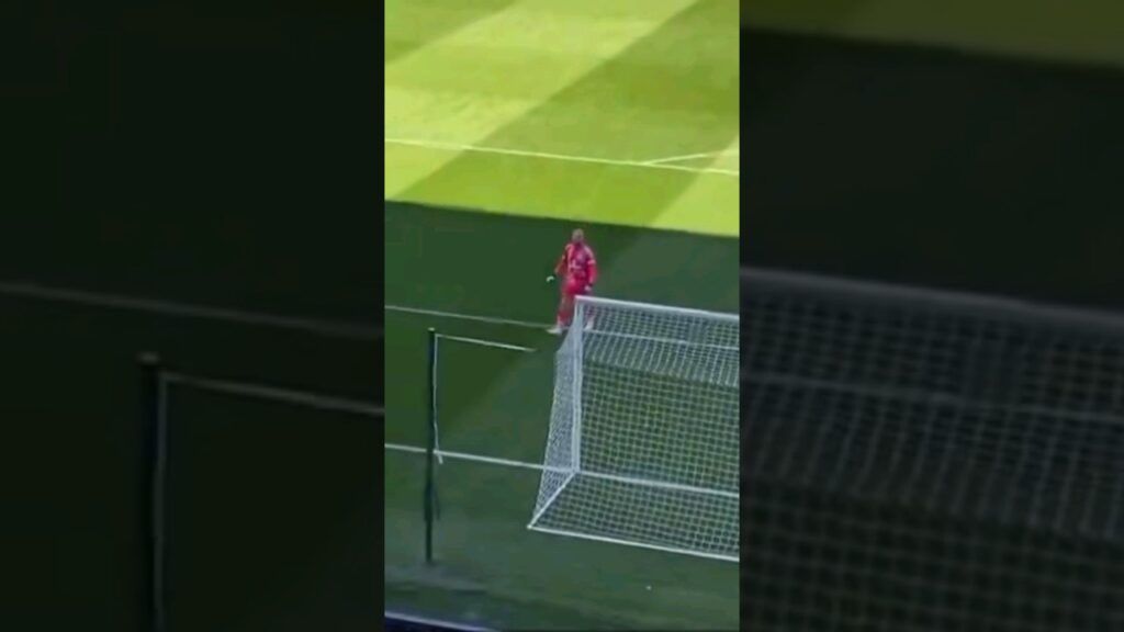 Kasper Schmeichel Celebrates Celtic Goal With The Fans #celtic #celticfc #football #spfl #hibs