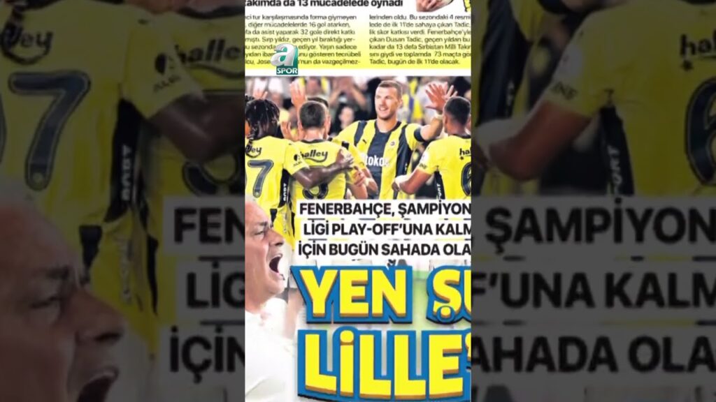 Dusan Tadic'in İstikrarı