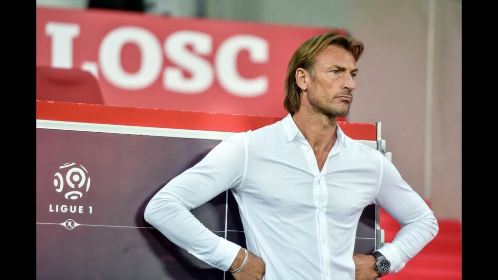 Hervé Renard, déjà un nouveau poste en vue !