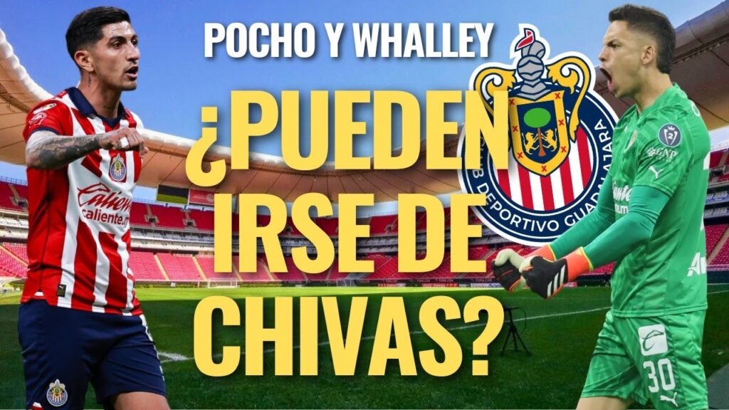 🚨 ¡RUMORES CHIVAS: ¿Pueden IRSE el POCHO Guzmán y WHALLEY? Te CONTAMOS los DETALLES! 🚨 🚨 ¡RUMORES CHIVAS: ¿Pueden IRSE el POCHO Guzmán y WHALLEY? Te CONTAMOS los DETALLES! 🚨