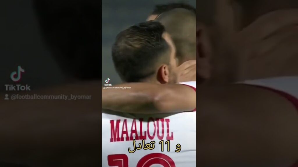 إنتصار رقم 18 لتونس على مصر