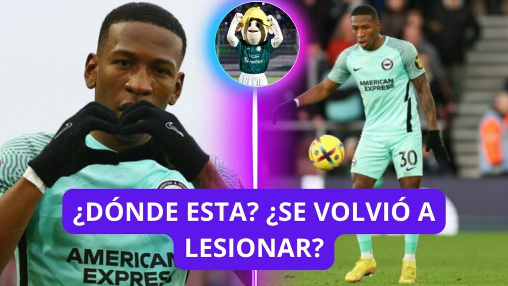 PREOCUPANTE!! PERVIS ESTUPIÑAN NO APARECIÓ NI DE TITULAR DE SUPLENTE EN BRIGHTON |  BANANERITO LLEGÓ