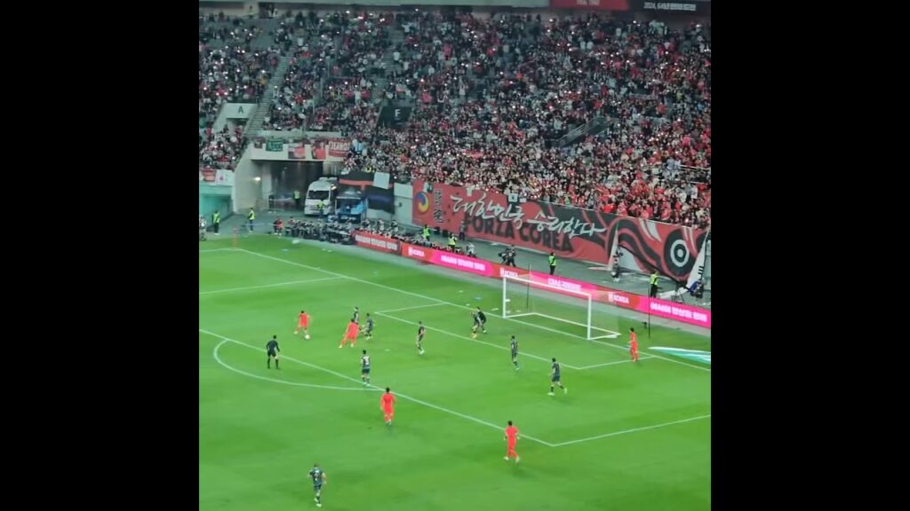 [직캠]한국 vs 튀니지 황의조, 정우영의 아쉬운 골 장면