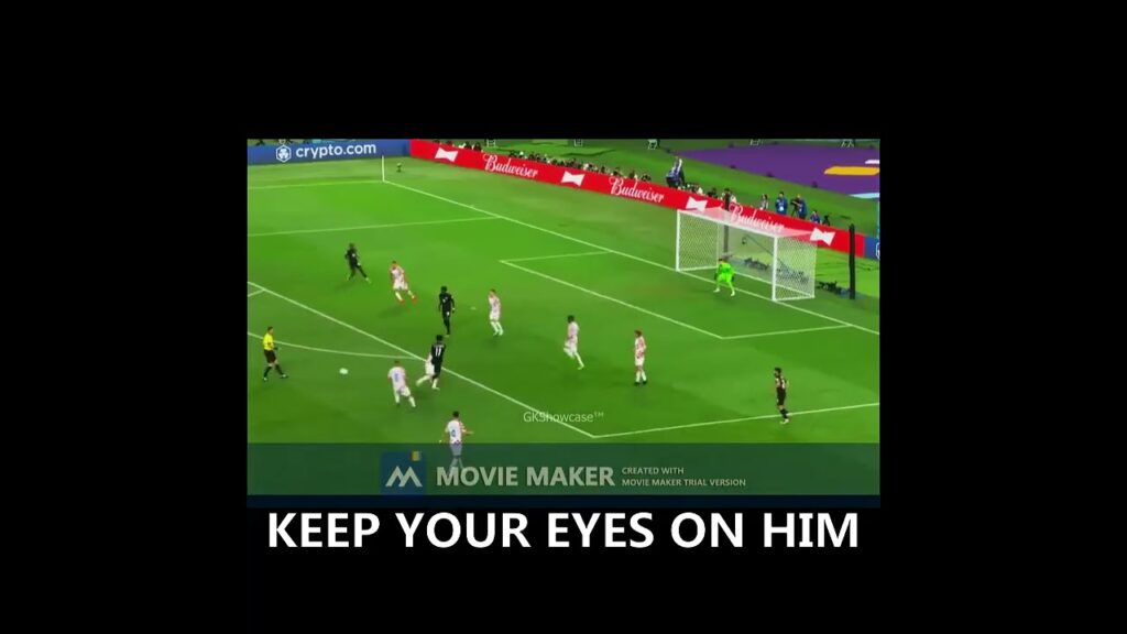 DOMINIK LIVAKOVIC-THE HERO GOALKEEPAR@SIBAJIINTERNATIONALCHANNEL