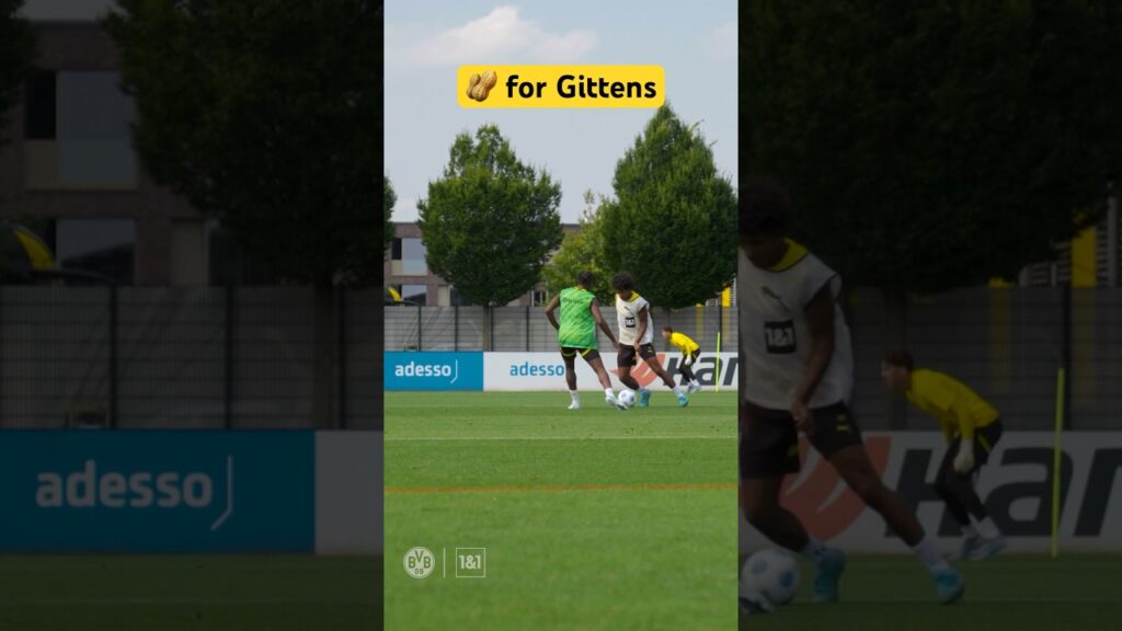 3 in 1 - Adeyemi-Style 🥜⚡️🅰️