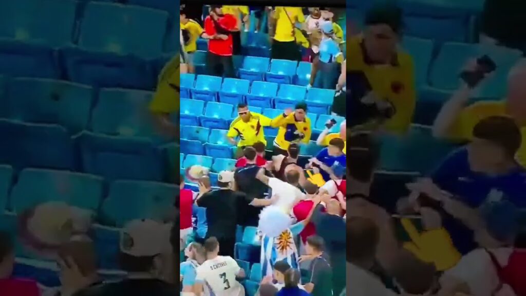 Simplesmente o Darwin Núñez saindo na mão com um torcedor colombiano kkkkkk