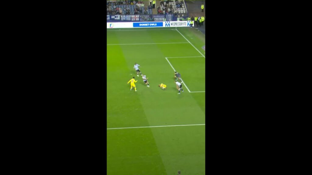 Brenden Aaronson = cool and calm goal against Sheffield Wednesday