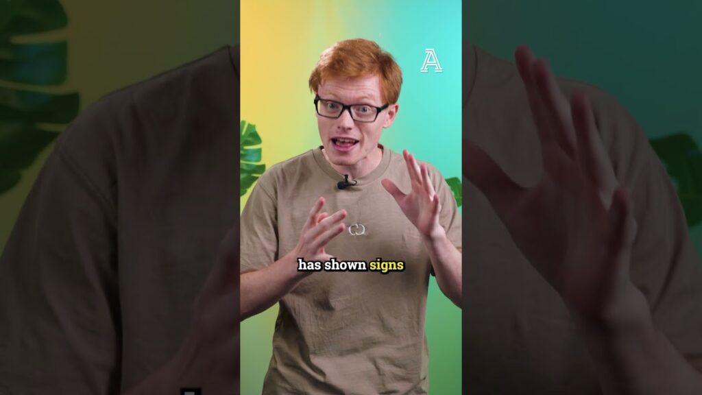 Why Kai Havertz Is Much Better Than You Think | #premierleague #arsenal