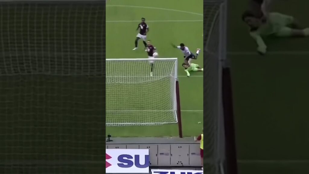 IVAN ILIĆ 🔥⚽️  #torino #seriea #goals