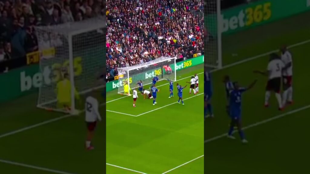 Wout Faes Goal Vs Fulham