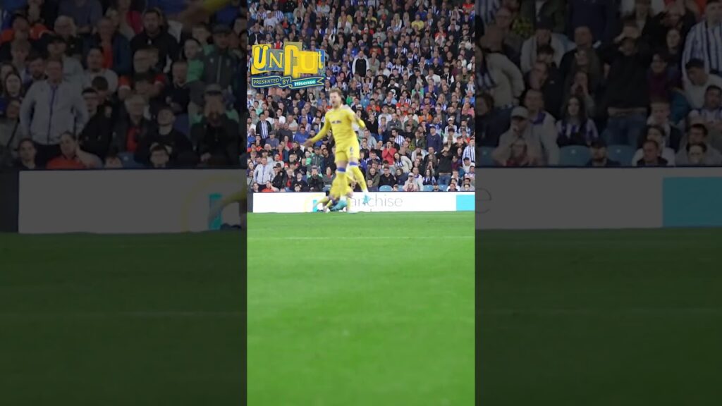 Aaronson goal sends Leeds United away end wild #lufc