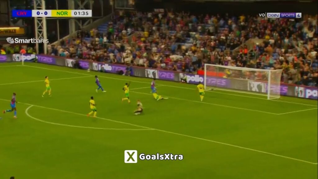 Daichi Kamada Goal | Crystal Palace vs Norwich 1-0 Extended Highlights | EFL Cup, Carabão 2024/25