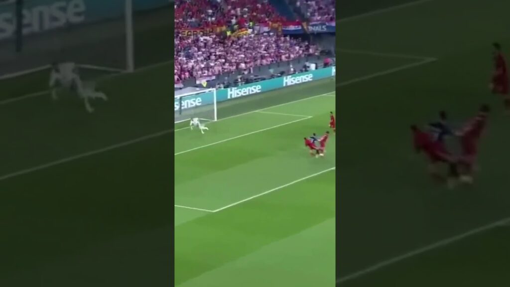 Croatia vs  Spain Highlights  UEFA Nations League Final #shorts #football