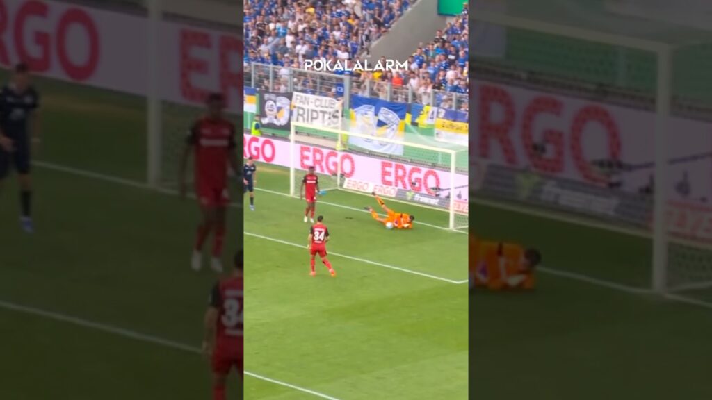 DFB-Pokal - 1st Round SAVES 🤩🎉