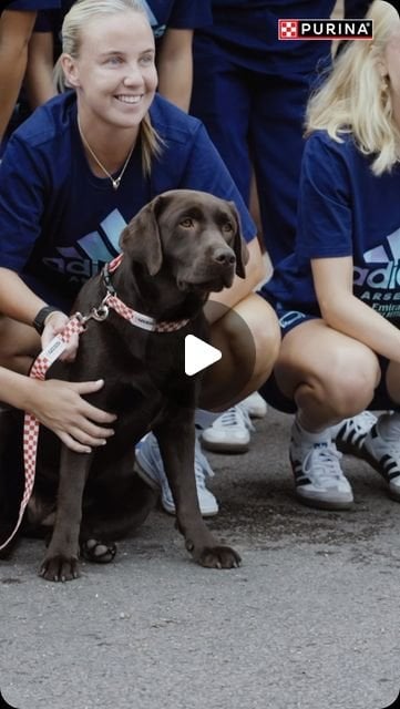Arsenal Women on Instagram: "A wholesome send off from Win and @Purina ❤️ Next stop: Washington, D.C 🇺🇸✈️"