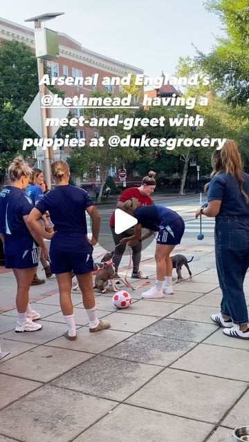 Beth Mead and doggies