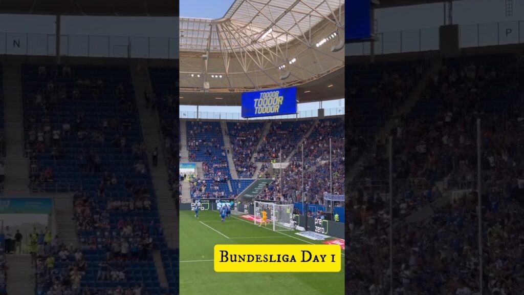 Drei Punkte für die TSG durch dreifachen Kramarić #football #bundesliga