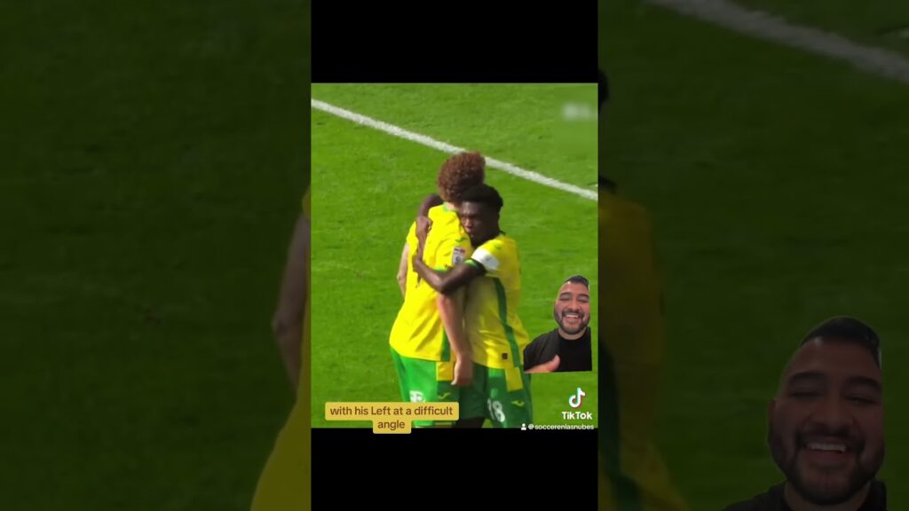 USMNT Josh Sargent to @BrentfordFC ? #futbol #football #premierleague #norwichcity #soccer