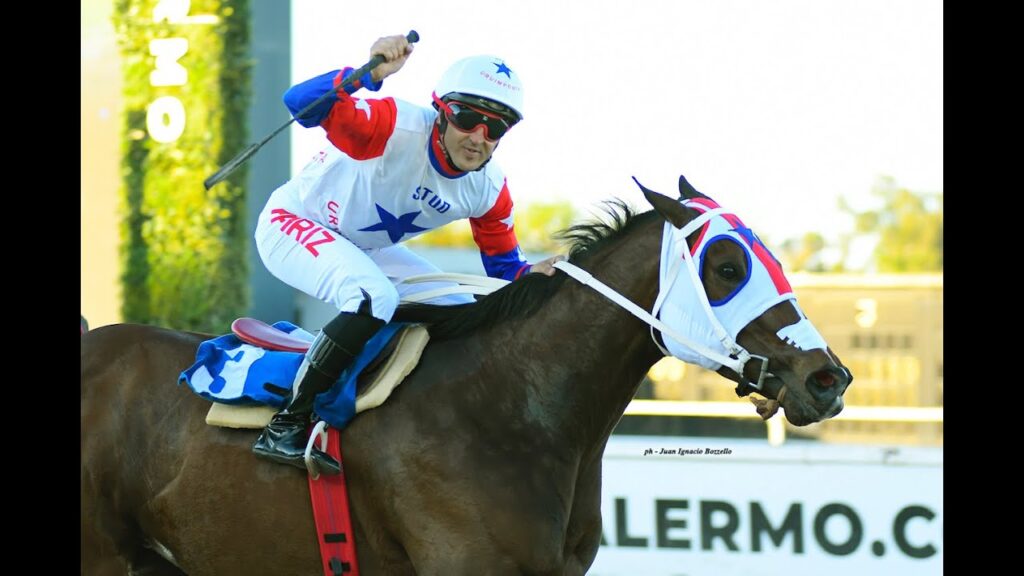 Clásico Rogelio Rodríguez y José M. Ferro 2024 - Girona Fever (Texas Fever) - Maroñas (Uruguay)