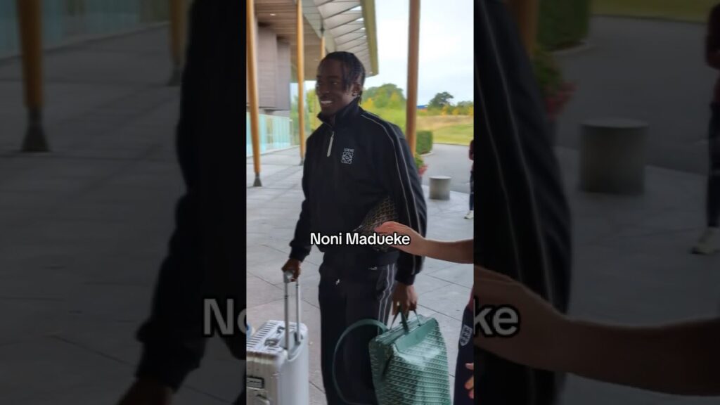 Three Lions Are Back!