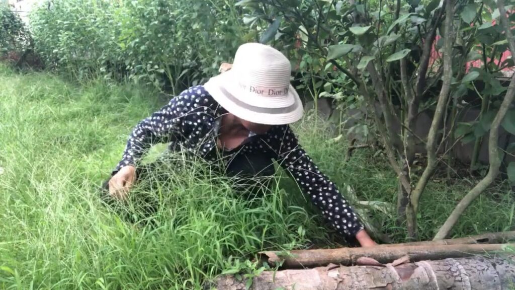 Argentina vs Chile Full Match Highlights 2024. The golden boy Paulo Dybala Goals