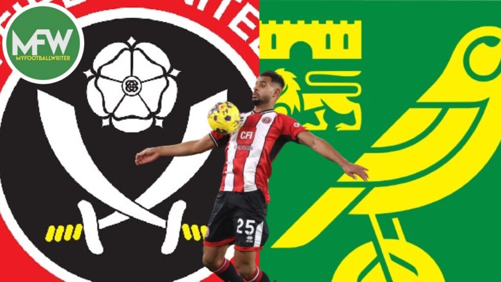 Anis Slimane 'Poised To Join' Norwich City | MyFootballWriter