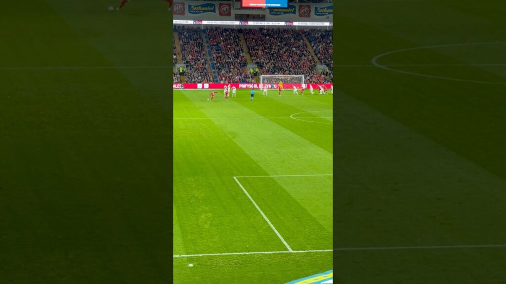 Harry Wilson free kick Wales v Turkey Nations League #harrywilson #nationsleague