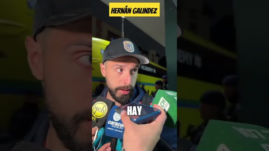 Hernán Galindez habló después de perder frente a Brasil