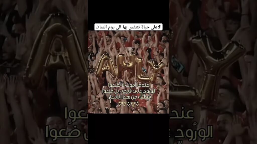 #الاهلي #الاهلي_اليوم  #الأهلي_فوق_الجميع #الأهلي #الاهلى #alahlytv #علي_معلول #محمد_عبد_المنعم