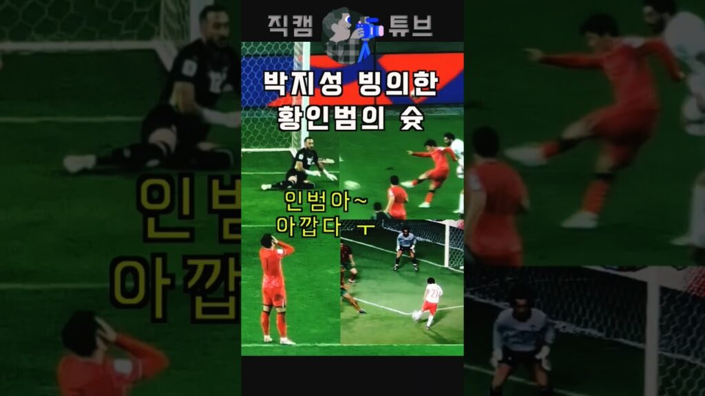 박지성 빙의? 황인범 슛, 손흥민 반응 (대한민국 vs 팔레스타인)