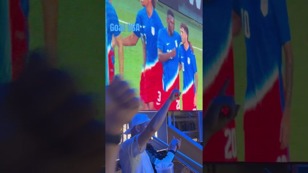 USA scores vs New Zealand through #10 Christian Pulisic