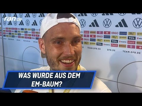 DFB: Lebt der EM-Baum noch? Raum gibt Details