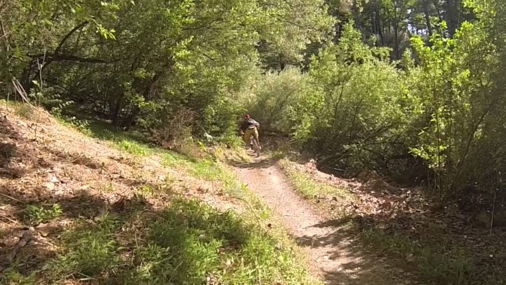 Trexler Mountain Biking- Matt Smith 2015