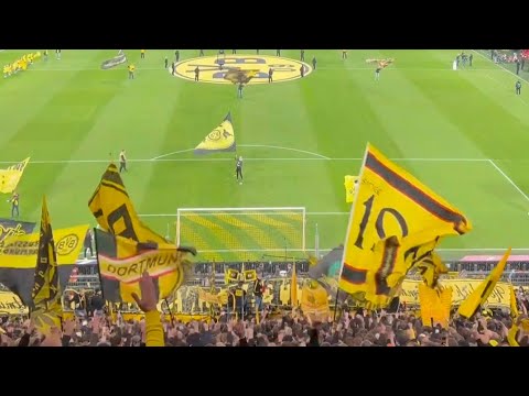 Dortmund vs Heidenheim | Incredible BVB Fans Atmosphere at Signal Iduna Park | Bundesliga 2024