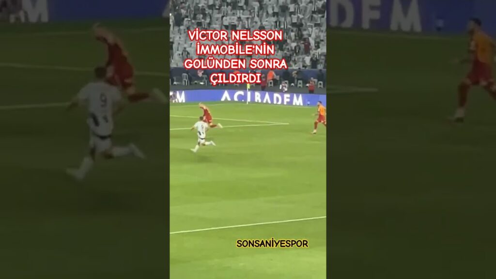 Victor Nelsson Ciro İmmobile'nin golünden sonra resmen çıldırdı.