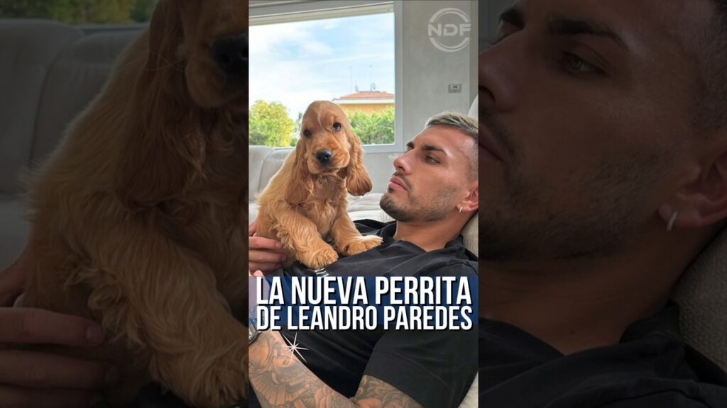 Leandro Paredes presentó a su nueva perrita llamada Roma 😍