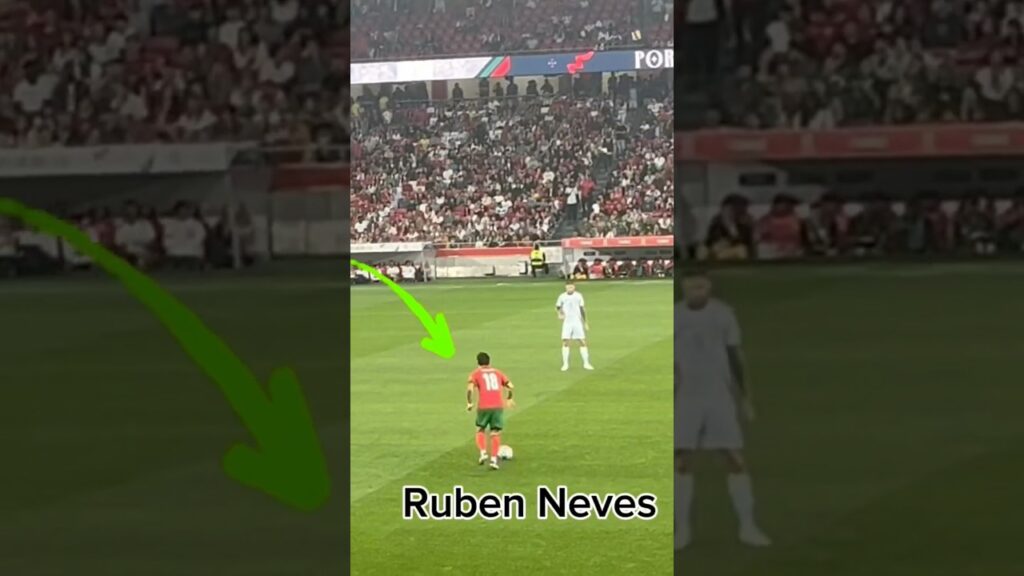 Ruben Neves Plays A Ping #rubenneves #portugalfootball #longball #ping