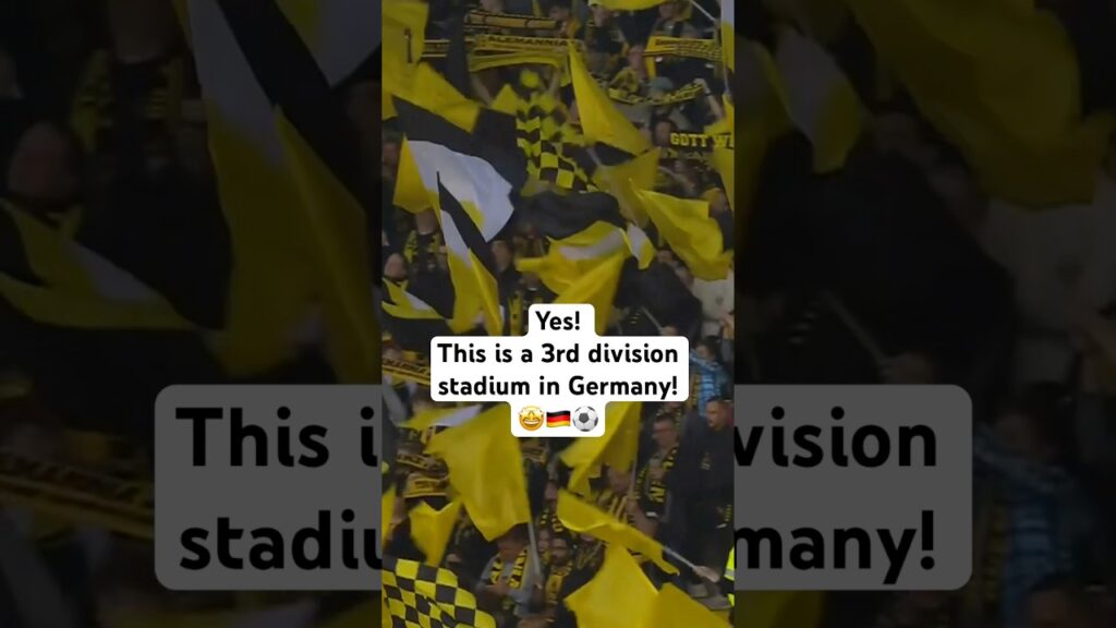 Pure PASSION! 🇩🇪⚽️🤩