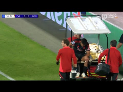 Alexander Bah injury, Crvena zvezda vs Benfica (1-2) All Goals and Extended Highlights