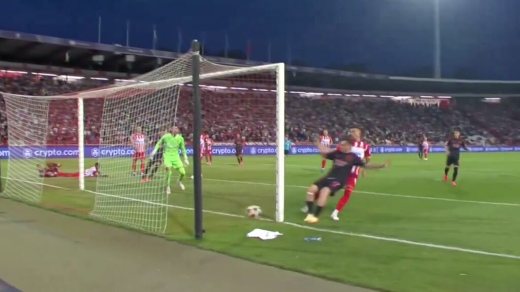 Kerem Akturkoglu Goal vs Crvena Zvezda, Orkun Kokcu Goal, Crvena Zvezda vs Benfica Highlights 2024