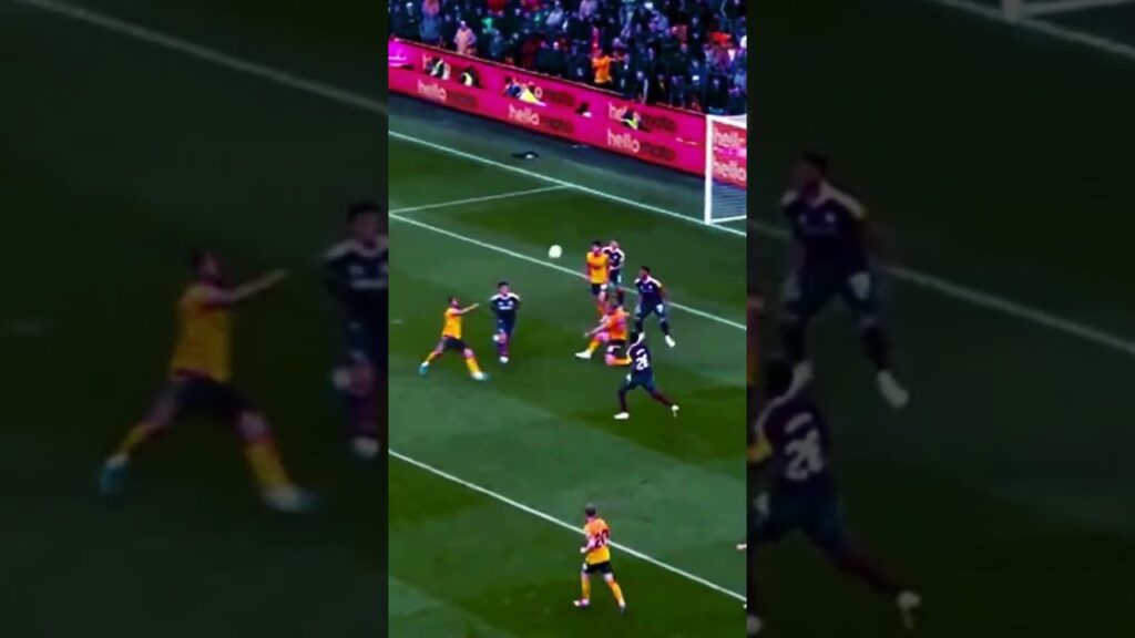 Nick Pope Save Vs Wolves | Wolves Vs Newcastle #pope #epl #matchday4 #premierleague #wolves