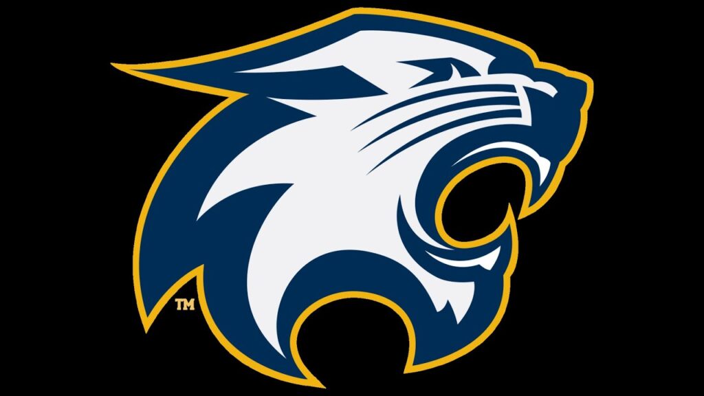 Wildcat Varsity Boys Soccer vs. Hudson - 3pm