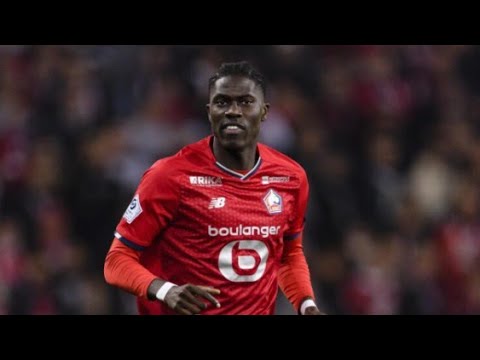 Amadou Onana-The Heart Of Lille