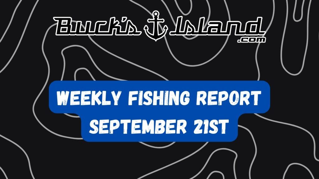 Fishing Report-September 21st- Neely Henry, Weiss, Logan Martin,Lay, Guntersville,Lake Martin,Jordan