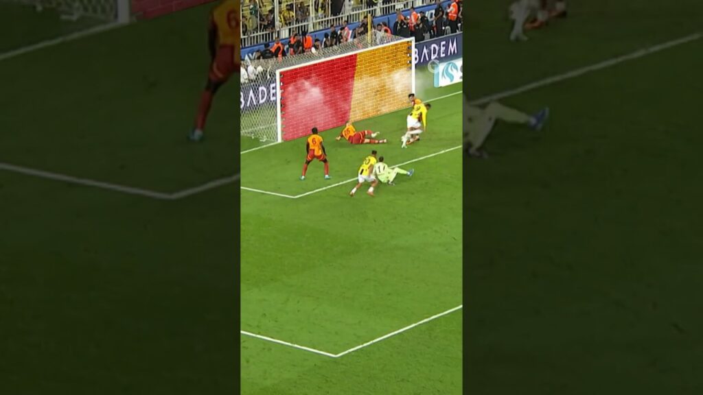 Nelsson’dan GEÇİT YOK! ❌💪