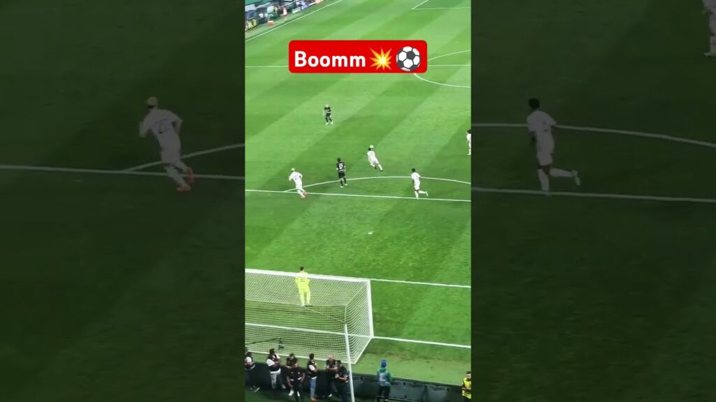 Zeno Debast bomb for Sporting CP against Lille 🔥⚽ #football #bestgoalsoftheweekefootball #ucl